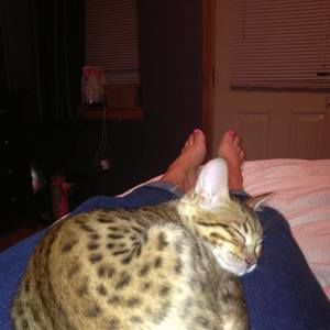 Meet your Posher, Katie